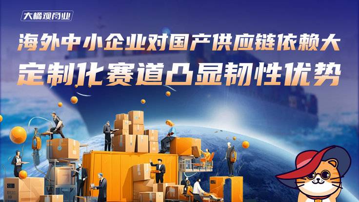 定制化赛道凸显韧性优势·海外中小企业对国产供应链依赖大-全旗论坛