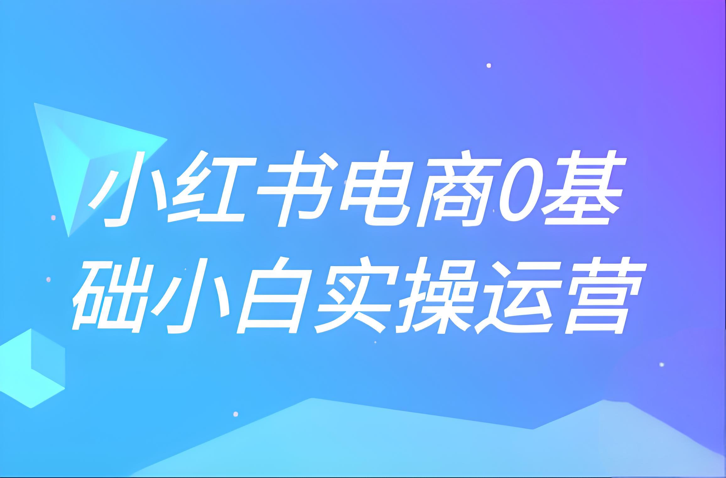 小红书电商0基础实操运营-全旗论坛