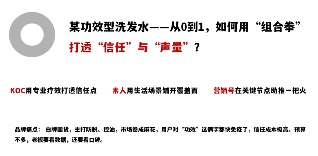 图片[6]-KOC·素人和营销号的协同投放（一手案例落地方法直给）-全旗论坛