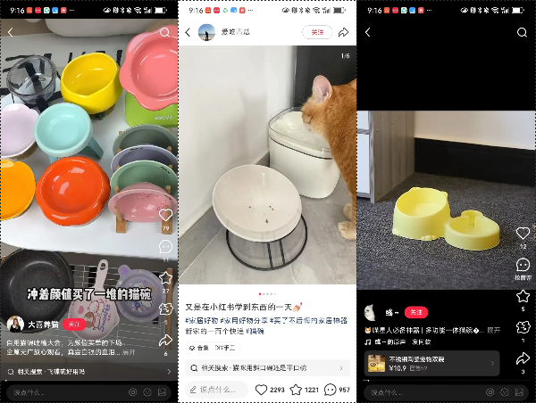 图片[12]-普通人电商创业实战复盘，宠物品类从0到月销150单全流程操作详解-全旗论坛