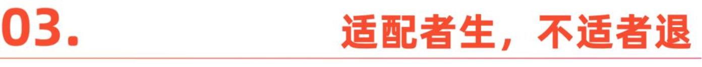 图片[3]-非洲电商：中国卖家的下一个黄金十年？-全旗论坛